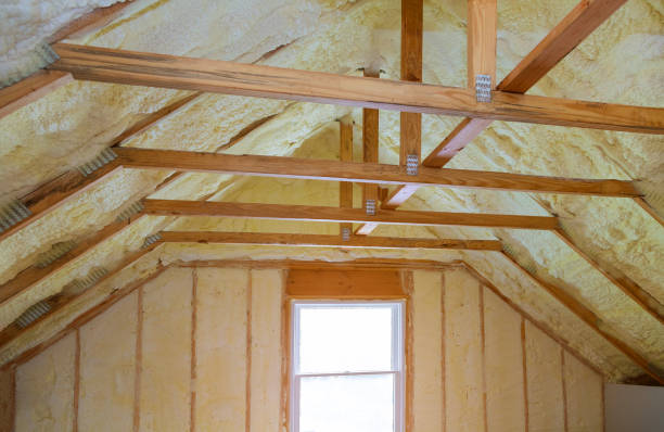 Best Commercial Insulation in Lisbon, IA