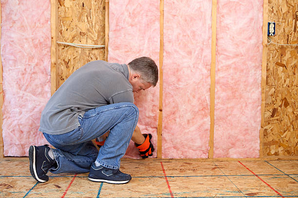 Best Spray Foam Insulation in Lisbon, IA